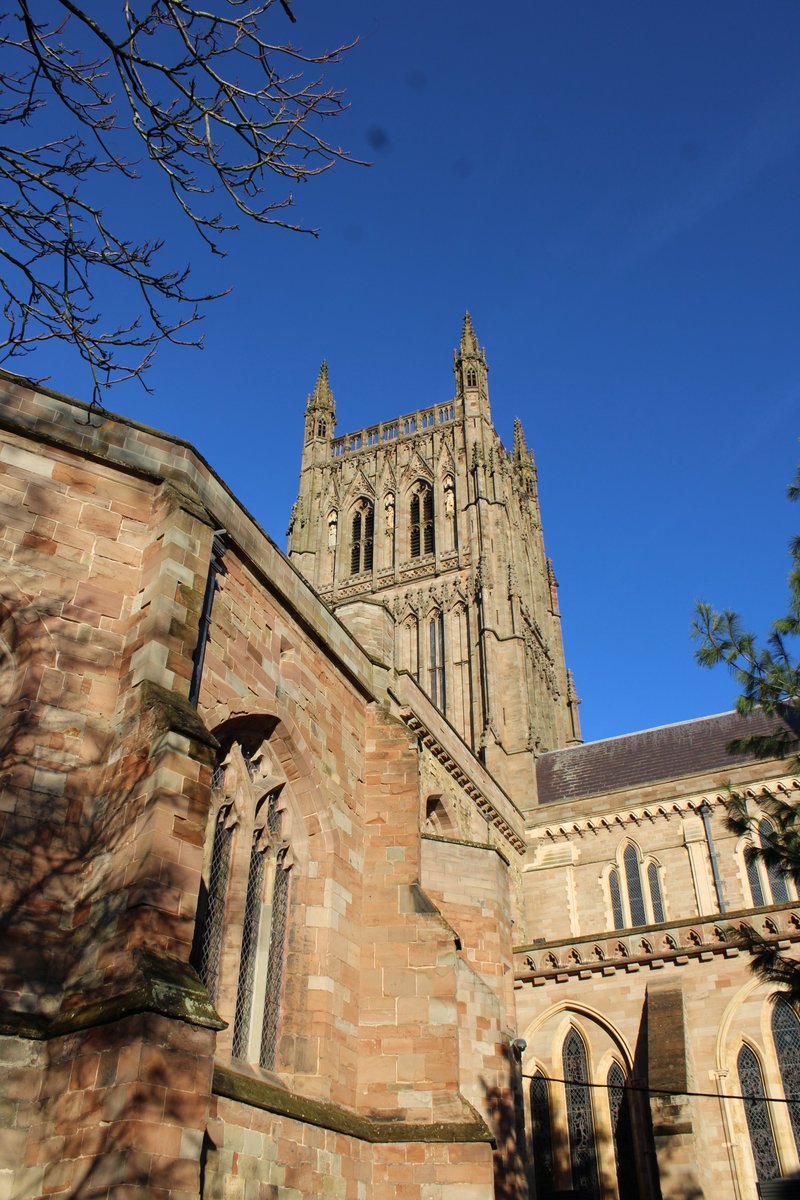 Librarian tweet media