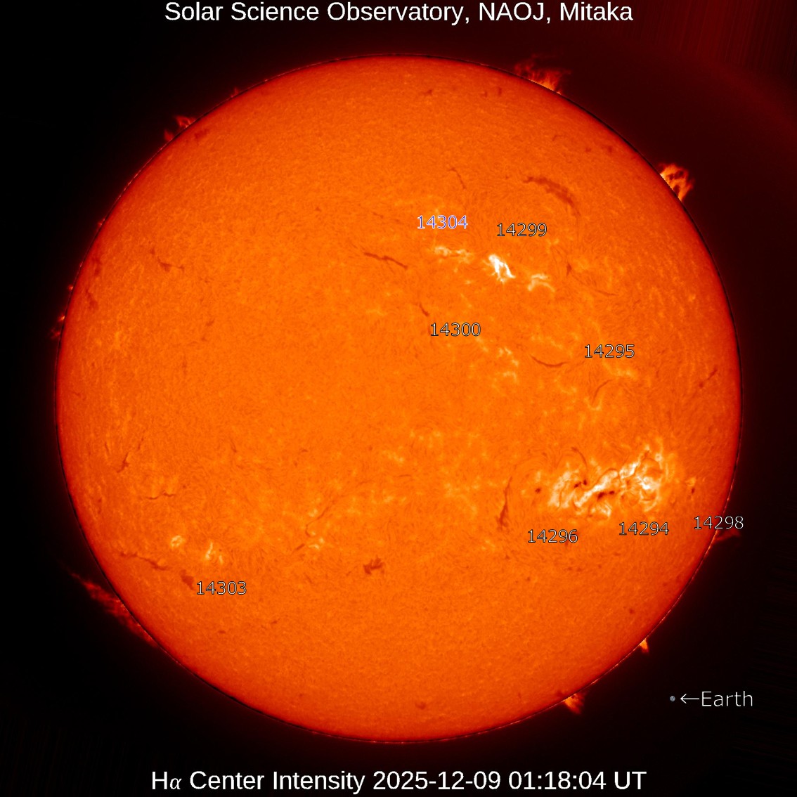 太陽 本日の太陽】2025-12-9のHα線全面像 活動領域14304が新たに出現しま