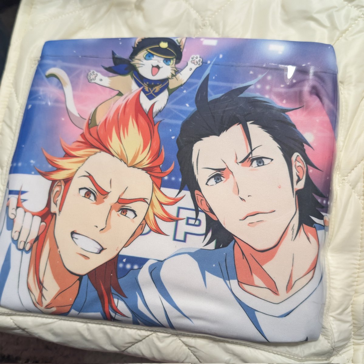 せっかくなので また フェスキメませんか。ブランケット 絶対寒いし着席だしブランケット持ってこうと入れてみたらいい感じに