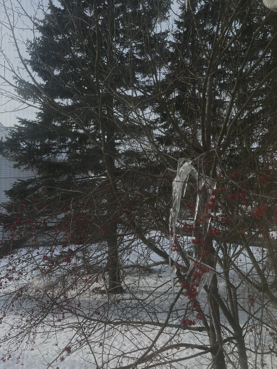 Feels like 4 degrees🥶