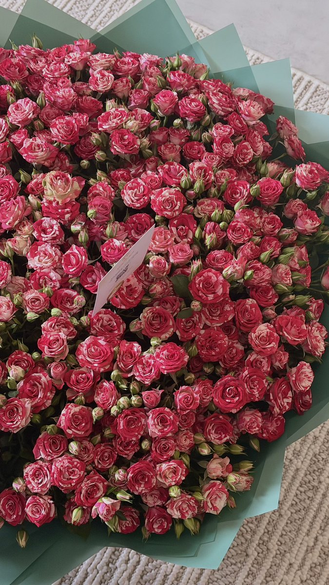 ريوف tweet media