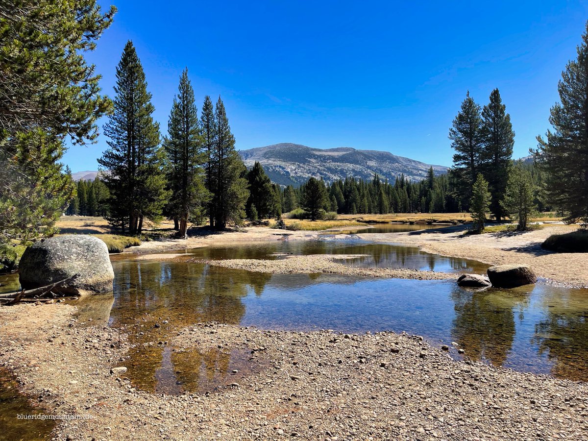 blueridgemountain_man tweet media