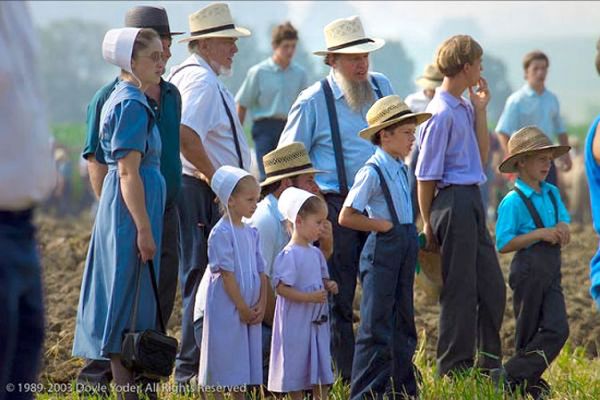 The Amish don’t count calories.

They don’t track steps.
They don’t hit the gym.
They certainly don’t take Ozempic.

Yet they’re leaner, healthier, and live longer than most Americans.

What’s their secret? It’s not what you think.

7 reasons the Amish are outliving us all: