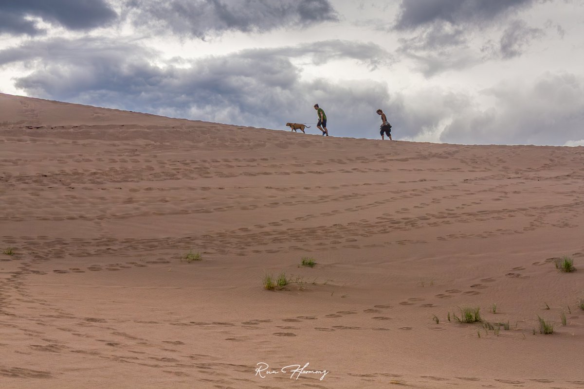 RunHarmonyNC's tweet photo. Hiking the Colorado Sand Dunes with a storm brewing overhead. Footprints, wind, and a whole lot of open space.
#Photo #PhotoOfTheDay Colorado #GreatSandDunes https://t.co/lGviPPcwOF