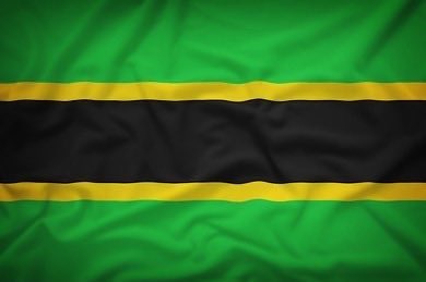 🚨 TANGANYIKA AT 64: GEN-Z PARALYSES TANZANIA IN A BLOODLESS COUP DE GRÂCE

Tanzania’s Gen-Z, armed with nothing but discipline and a shared refusal to pretend everything is fine, delivered the most powerful silent scream in the country’s history. No stones thrown. No tyres