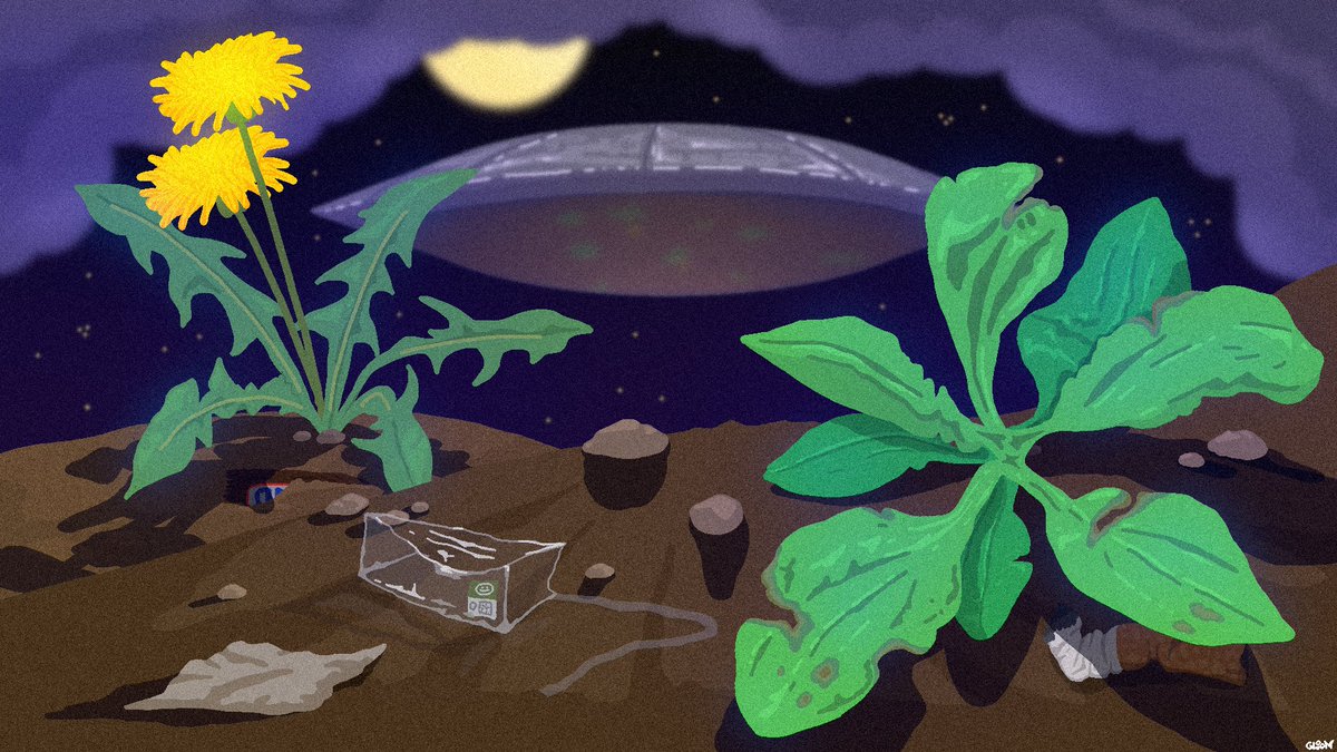 Roon Toon tweet media