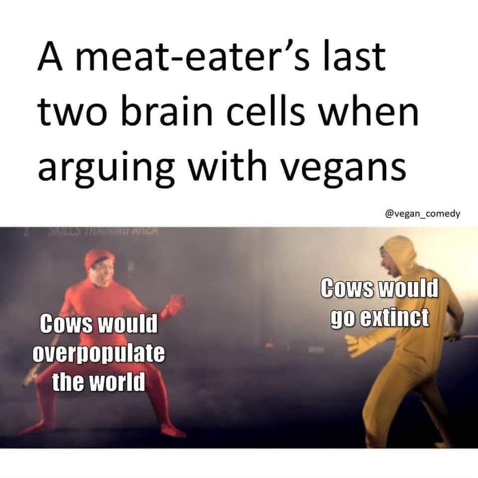 vegan0608's tweet photo. @herbivore_club 🤣😂🤣😆 https://t.co/RGH2Jdlllm