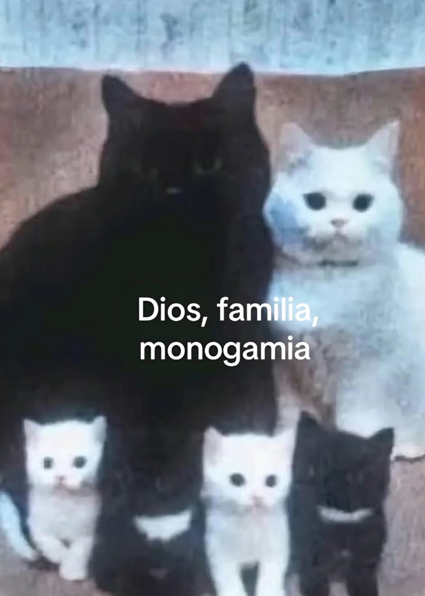 cael o ultimo criativo tweet media