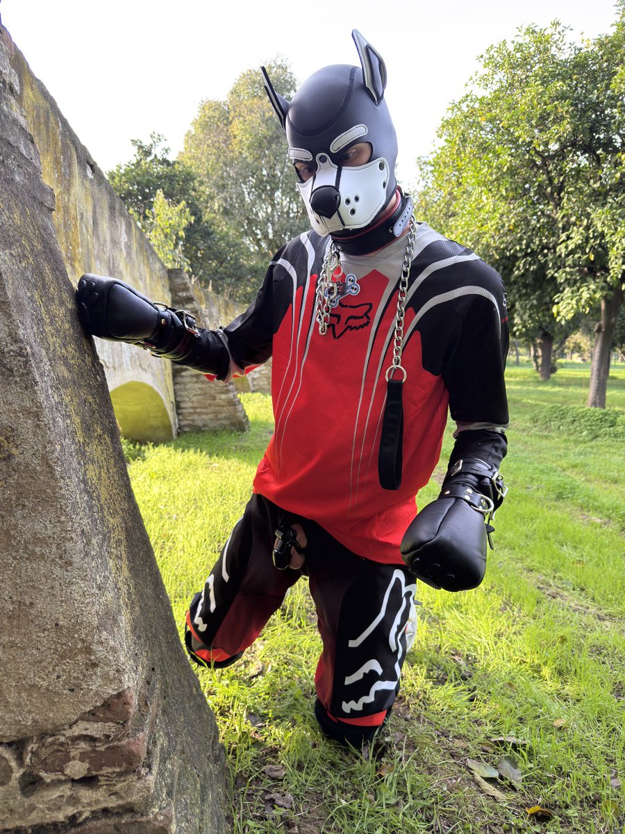 𝘓𝘜𝘊𝘐𝘖 tweet media