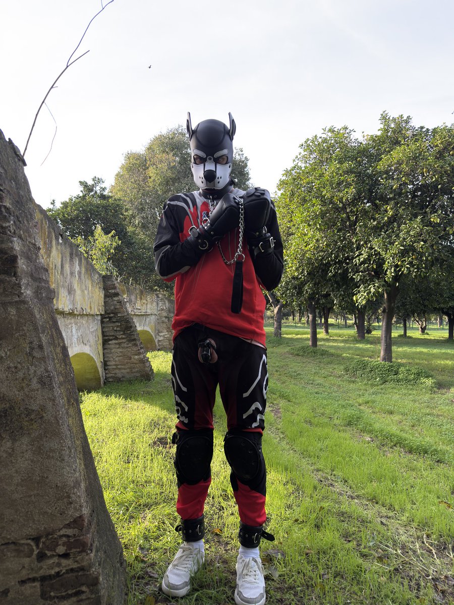 𝘓𝘜𝘊𝘐𝘖 tweet media