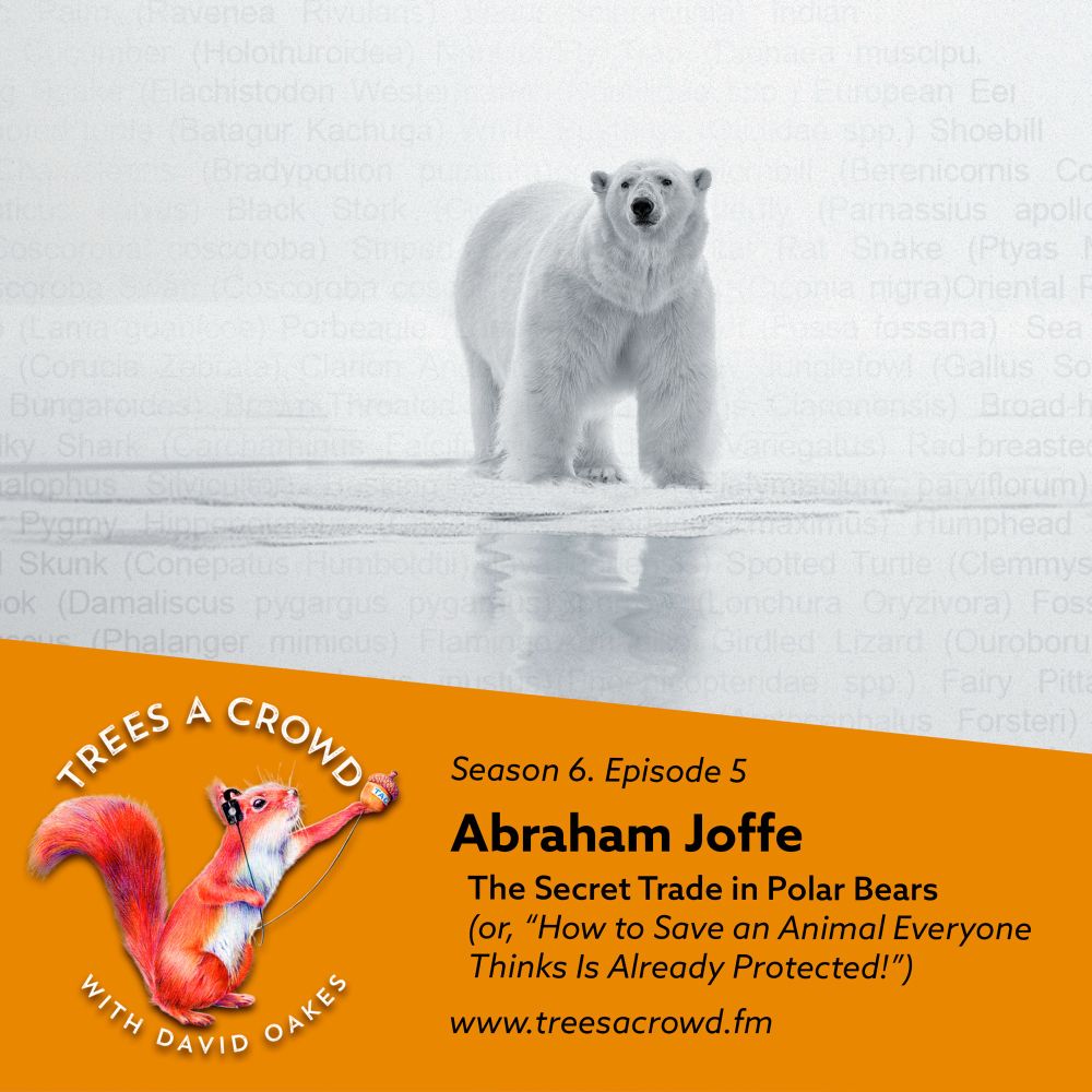 ChrisGPackham's tweet photo. Great listen on the polar bear trade scandal with @Abrahamjoffe on @David_Oakes #TreesACrowd podcast , check it out wherever you get your podcasts . . . https://t.co/HQfWNI81zh https://t.co/DnAm7ih9al