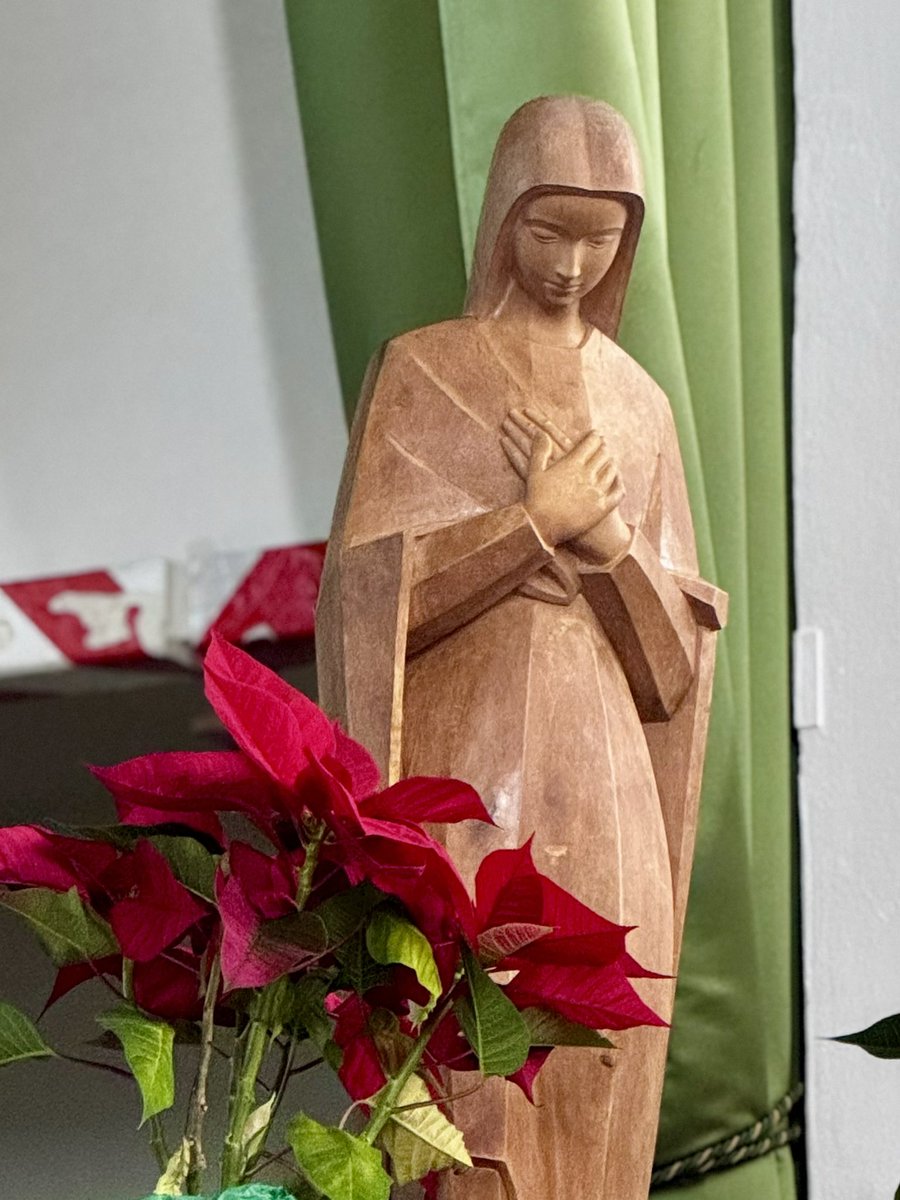 Colegio Jesús María 📒🔬 tweet media