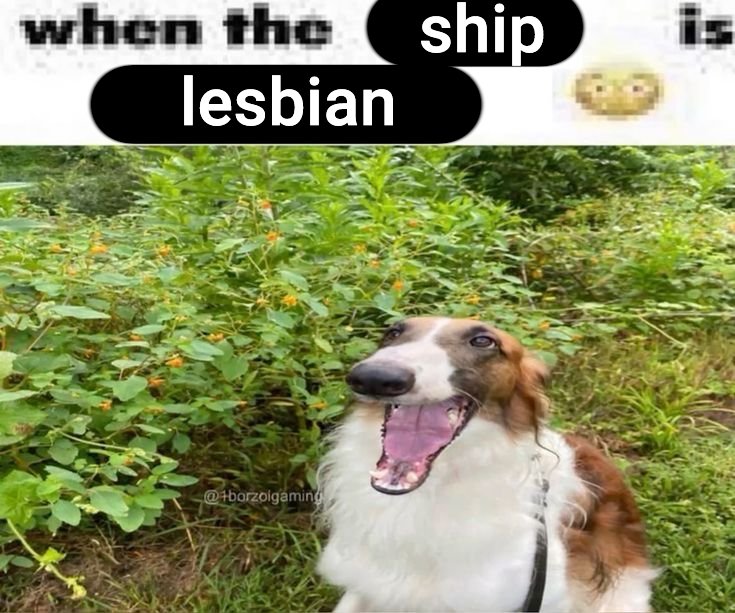 violet ⚢ tweet media