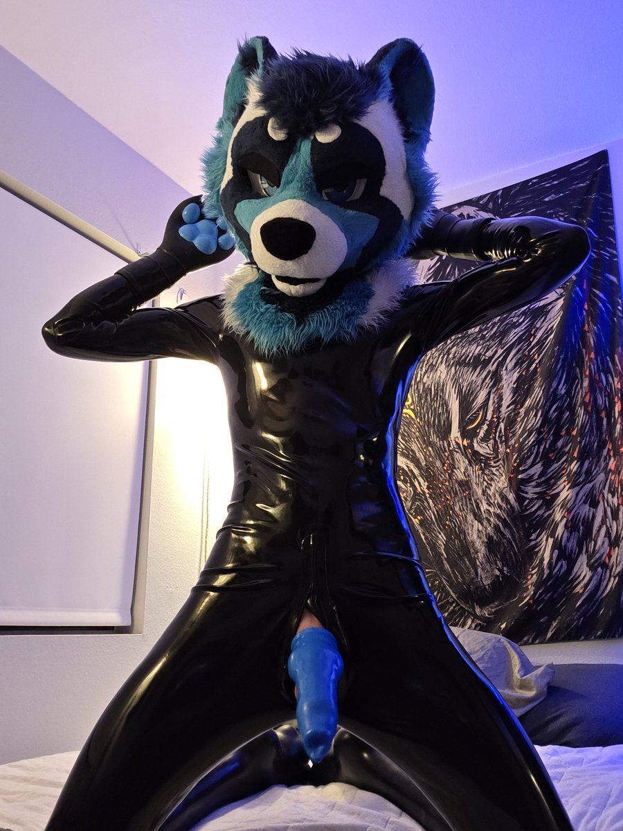 You really thought you were in charge here?

I'll let you think about where you went wrong while you're pinned down  getting knot fucked