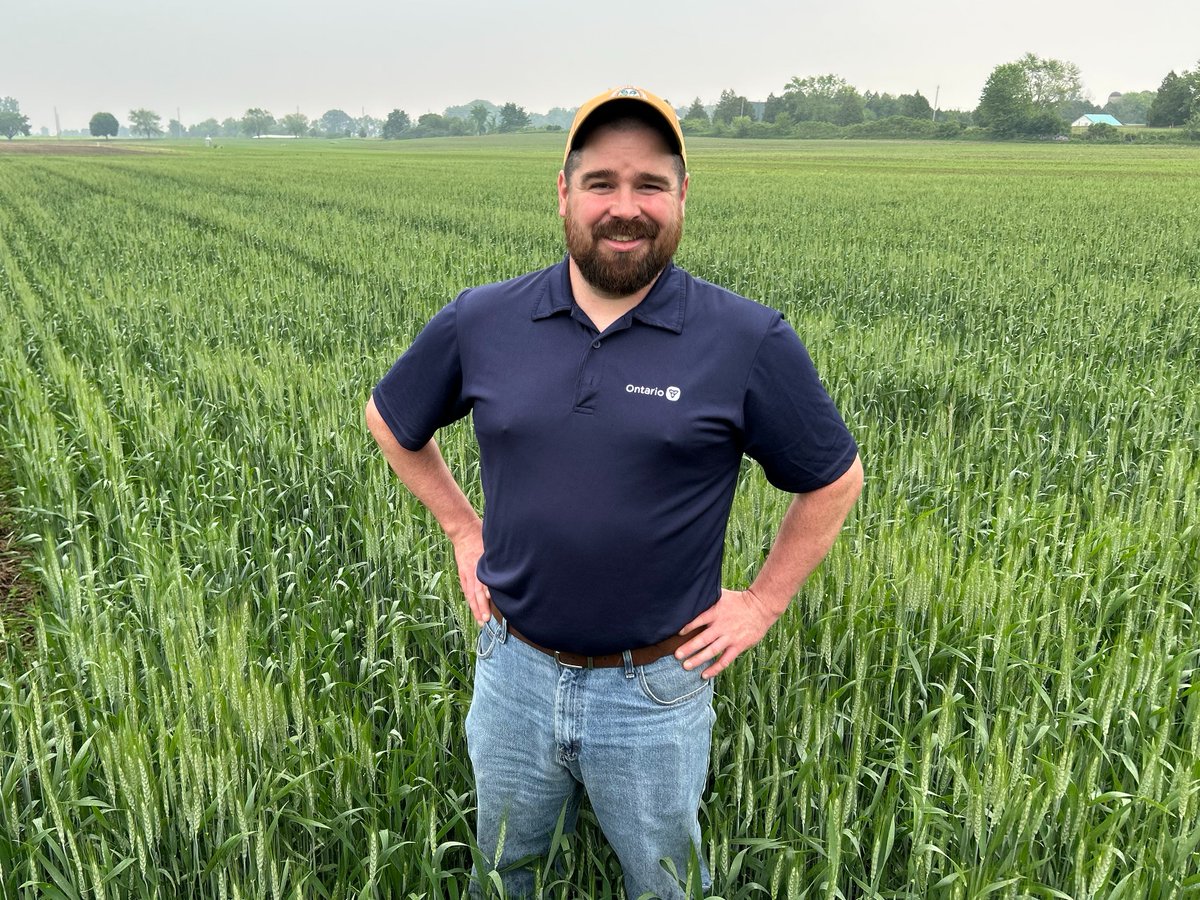 Understanding what's in your fertilizer is critical for determining application rates. Check out my chat with OMAFA's <a href="/Mr_Earl00/">Colin Earl Elgie</a> on why nutrient analysis is so important on #Soil School <a href="/realagriculture/">RealAgriculture</a> ow.ly/WNBY50XGjie