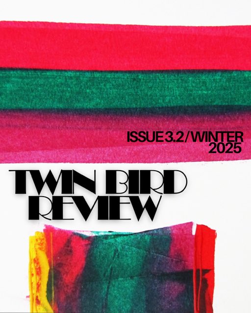 Twin Bird Review - OPEN FOR SUBS! tweet media