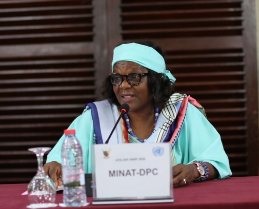 OchaCameroon's tweet photo. "La gestion des crises au #Cameroun ne peut être l’affaire d’un seul acteur. Elle exige une collaboration étroite entre l’État, les Partenaires et les Communautés." 

La Directrice de la Protection Civile @MinatDivcom  lors de l’atelier sur le Cycle de Programmation Humanitaire. https://t.co/rOzUVQP0KV