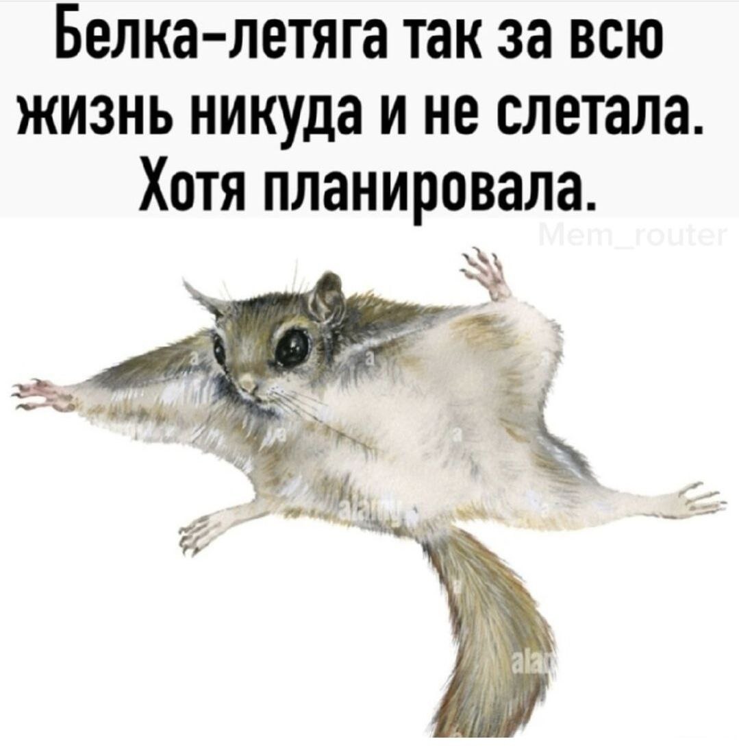 DantesDmitriy's tweet photo. https://t.co/7j0zYHfIl7