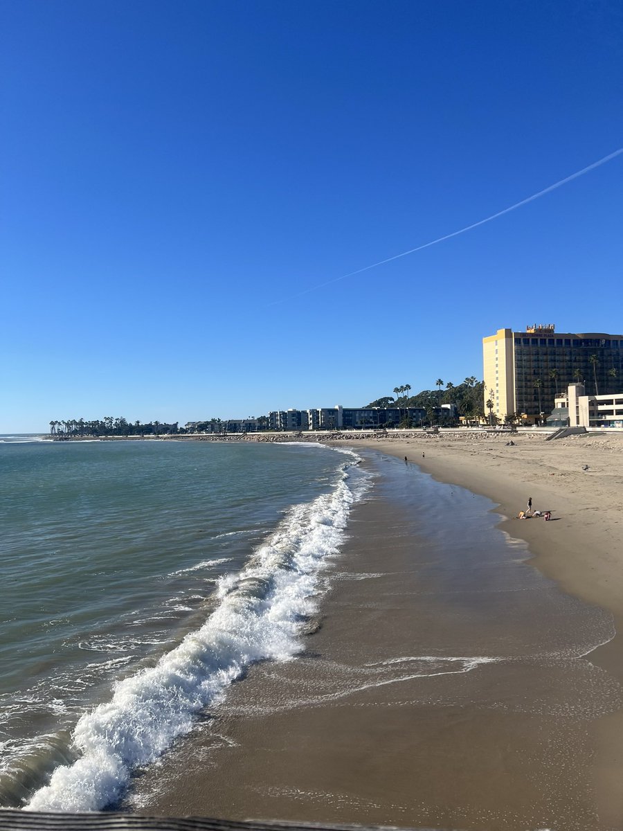 eddiecoder's tweet image. 