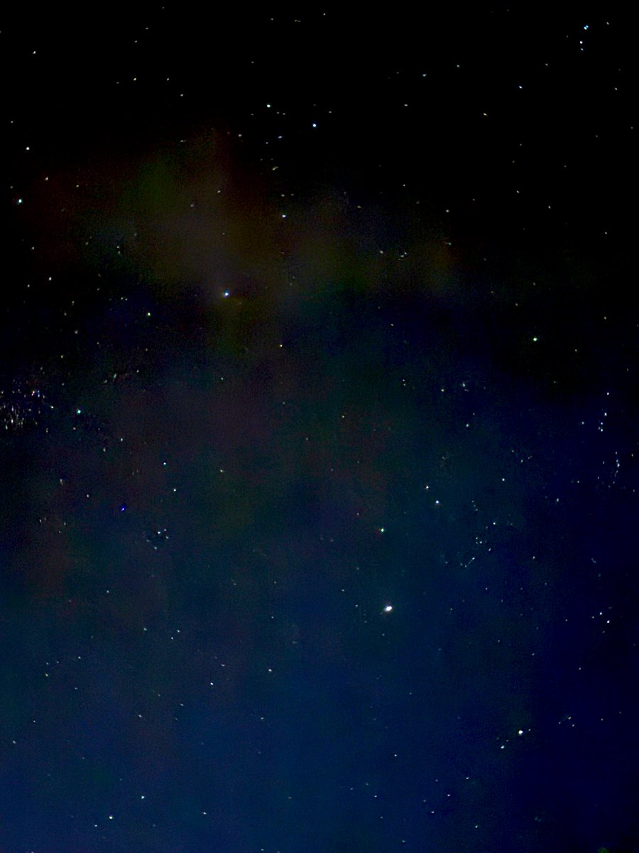 Baby Godzilla 🦖 tweet media