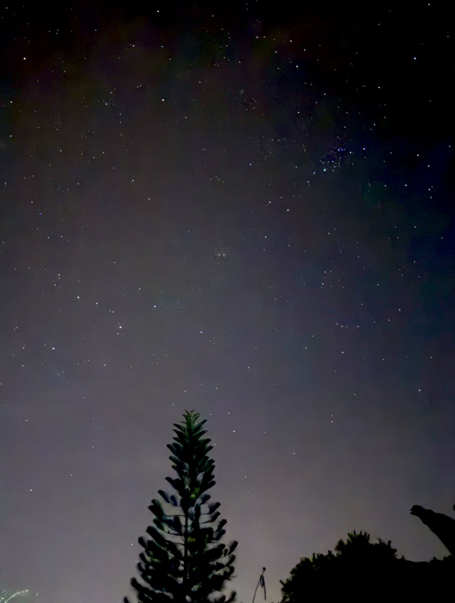 Baby Godzilla 🦖 tweet media