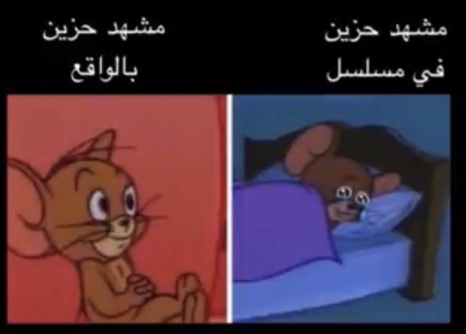 𝗦𝗵𝗮𝗱𝗶. tweet media