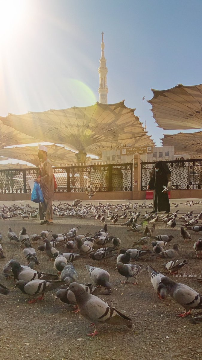 لا تحدثني عن حب أرض وأنت لم تجرب سكن المدينة ، لا تحدثني عن راحة الروح وأنت لم تجرب روحانية المدينة ، لا تحدثني عن اشتياق وأنت لم تجرب أن تشتاق إلى المدينة وأنت فيها