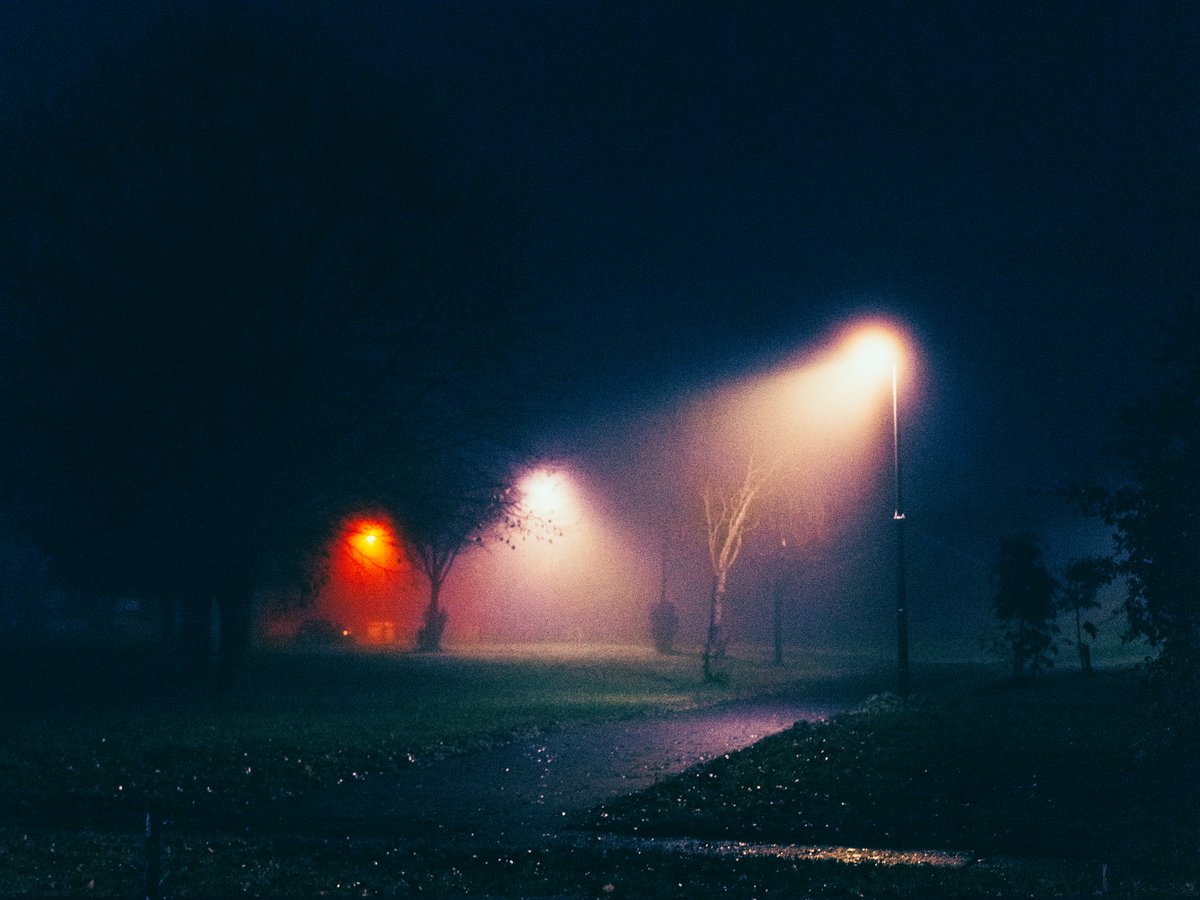 artofseanmurphy's tweet image. The realm beneath ours