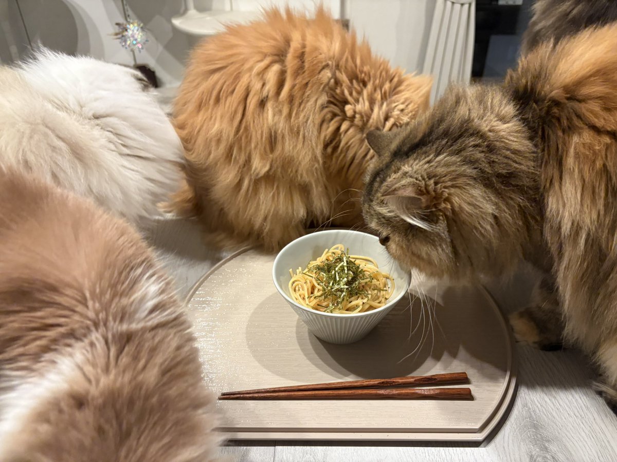 🌰粟谷麦(目鼻人中短縮DT おわり🇰🇷 tweet media