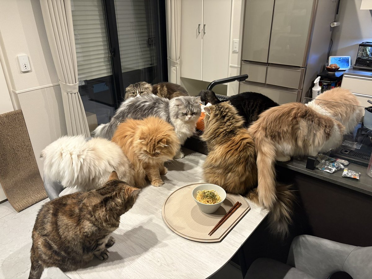 🌰粟谷麦(目鼻人中短縮DT おわり🇰🇷 tweet media