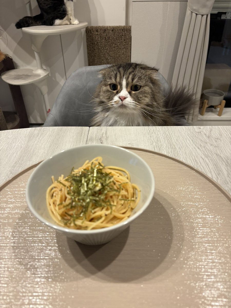 🌰粟谷麦(目鼻人中短縮DT おわり🇰🇷 tweet media