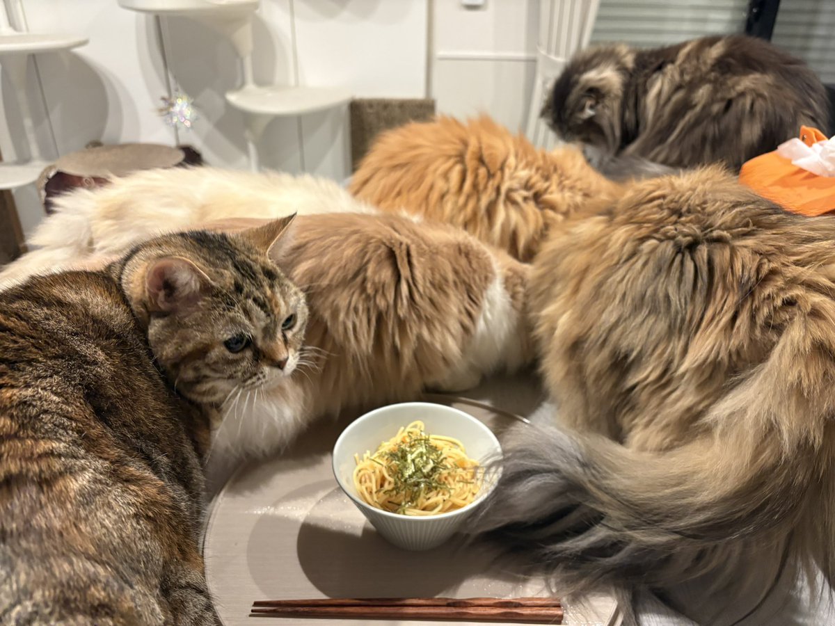 🌰粟谷麦(目鼻人中短縮DT おわり🇰🇷 tweet media