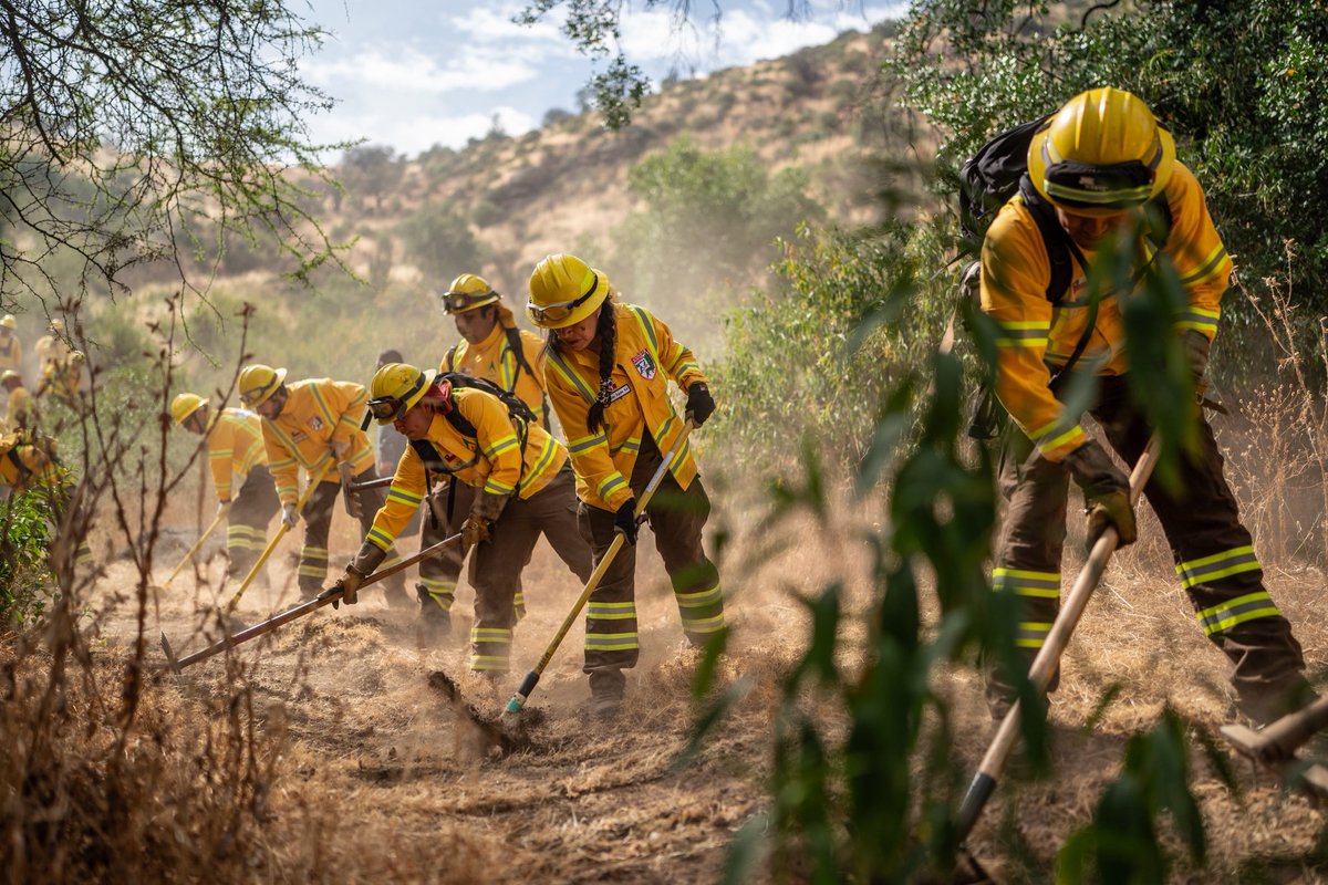 GabrielBoric's tweet photo. Desde Paine junto a vecinas y vecinos organizados de la Comunidad Águila Sur, la @conaf_minagri y brigadistas, hicimos el importante llamado a la prevención de incendios, recordando que el 99% son provocados por la acción y negligencia humana. Porque prevenir un incendio es mucho más fácil que combatirlo.
En nuestro Gobierno hemos intensificado la organización entre vecinos y si en 2022 había 190 comunidades preparadas, hoy tenemos más de 300 en todo el país, que se preocupan de mantener limpios los terrenos, reducir el material combustible y dejar espacios de seguridad entre la vivienda y la vegetación, acciones que llamo a que se repliquen en todo Chile, porque en esto no se juega solamente la propiedad de cada uno, se juegan vidas.