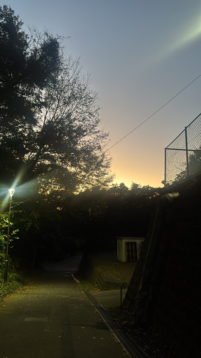 定期演奏会まであと５日❄️

最近は大学構内のいちょうの木も葉が落ちて、冬の景色に近づいてまいりました☃❄
日が落ちるのも早いですね！

皆様に演奏という少し早めのクリスマスプレゼント🎅お届けします🍓
 #定期演奏会
 #SUWO