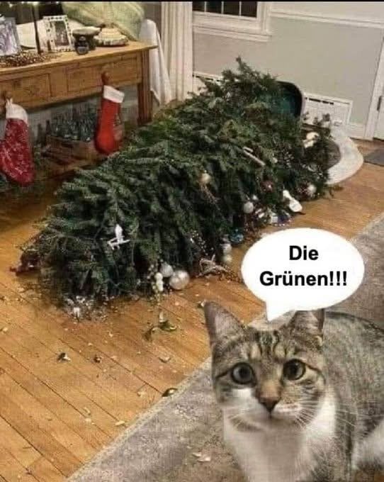 Die Hauskatze der CSU… 🐈‍⬛