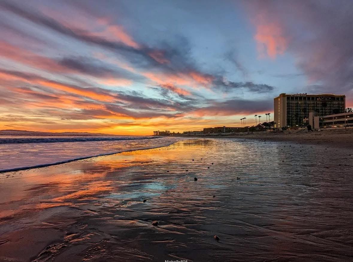 eddiecoder's tweet image. 