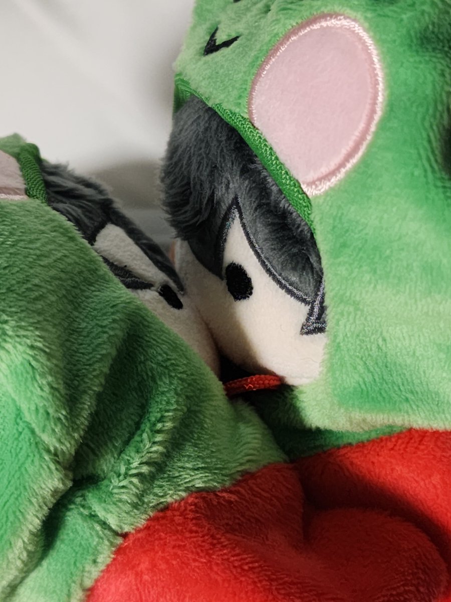 콩콩중독이 집이 오자마자 한것 뽀뽀하기