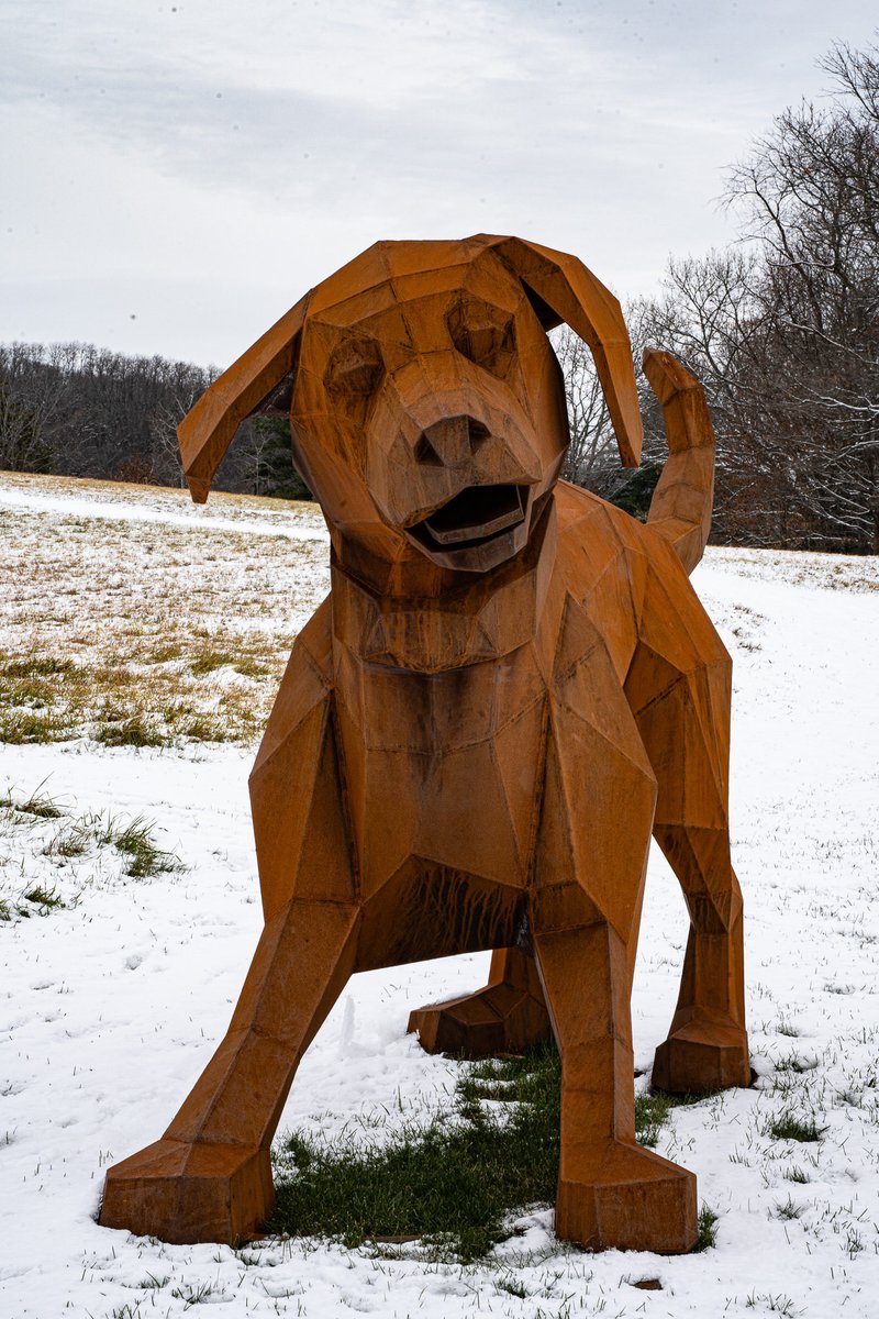 artofdalerogers's tweet image. Who let this dog out?

#dog #dogmom #dogdad