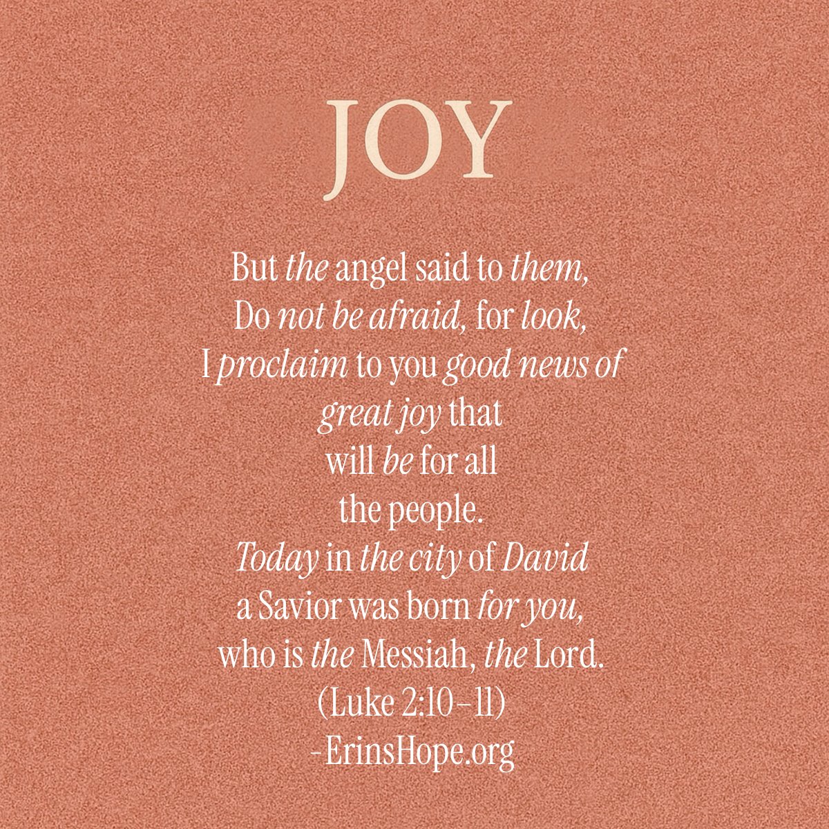 Christmas declares God’s good news shining through the Savior’s birth. Merry Christmas from the Erin's Hope Foundation!