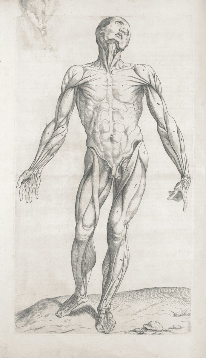 ME/CFS Science tweet media