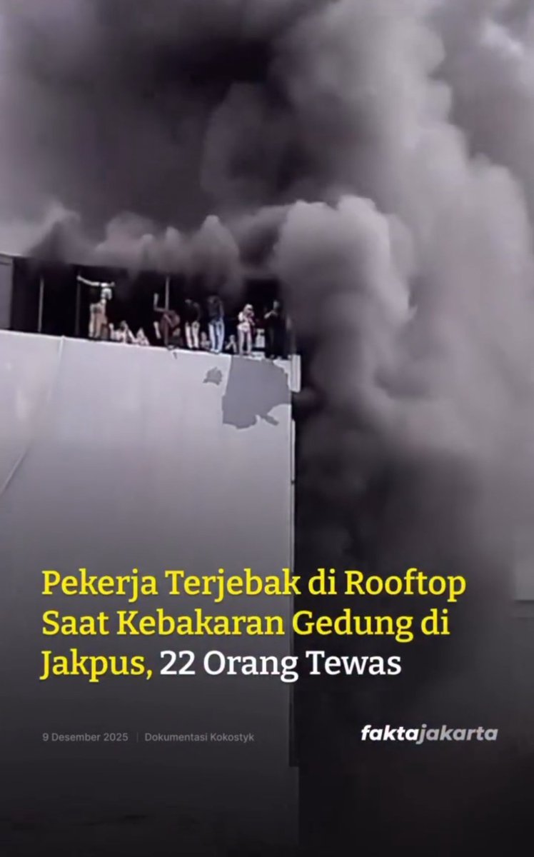 ZONA VIRALL tweet media