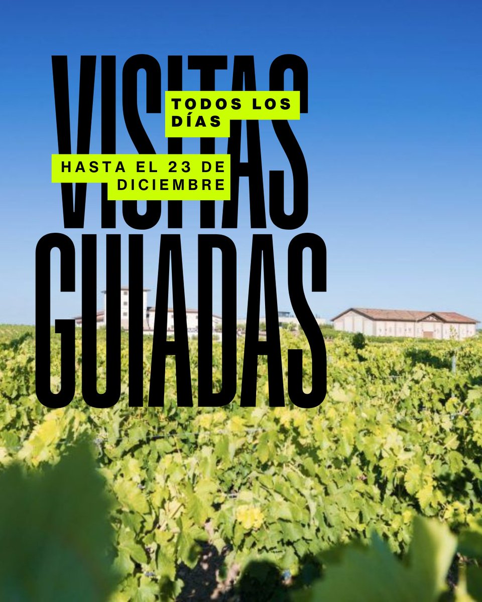 🍷 Visitas guiadas todos los días hasta el 23 de diciembre. Más información en bodegasmarcoreal.com/visitas/