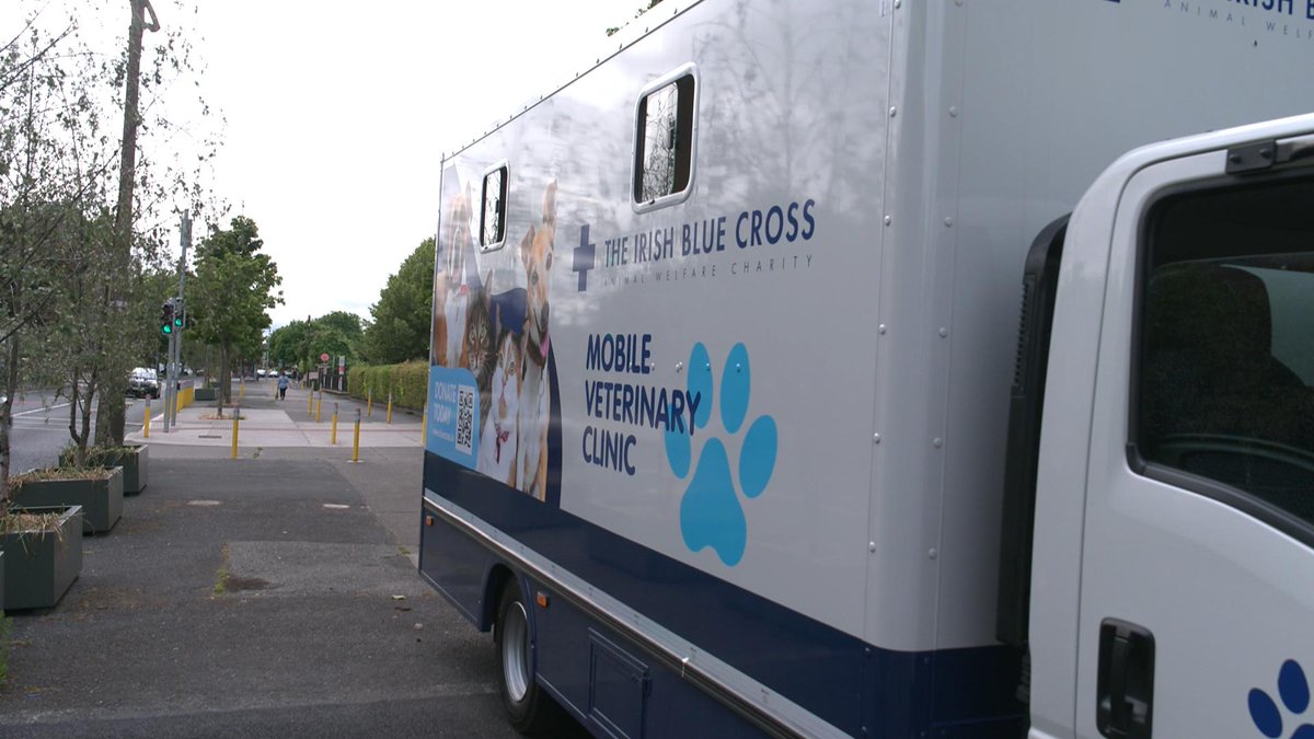 RTENationwide's tweet photo. We meet the team behind the @IrishBlueCross - an animal charity celebrating 80 years of service, providing a lifeline for sick and injured pets whose owners cannot afford private treatment on #RTENationwide Wednesday 10th December @RTEOne 7pm @ZainabBoladale @rte RT https://t.co/dLSBORgQnZ