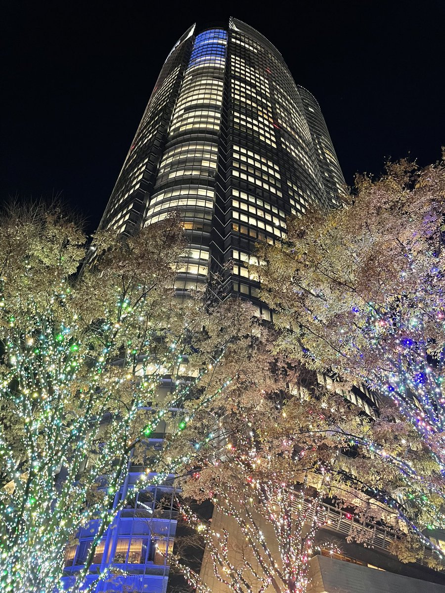 maruo_tt's tweet photo. ぽんぎ https://t.co/QL4QOGpECE