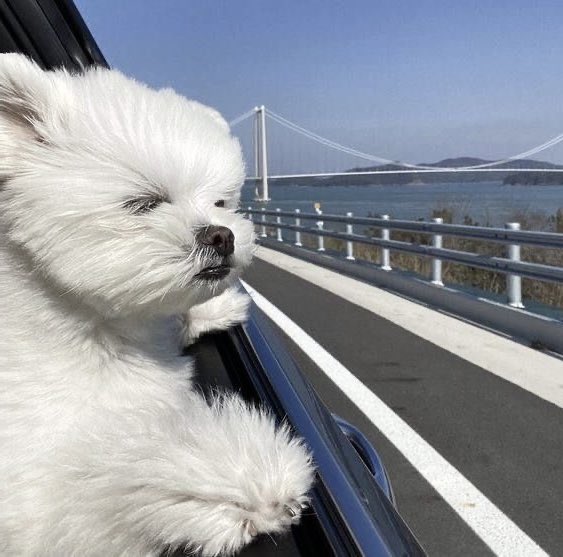 💨 #เอเอหนิ