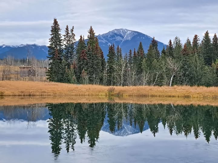 EVranch's tweet image. Nature's mirror.
evranch.com