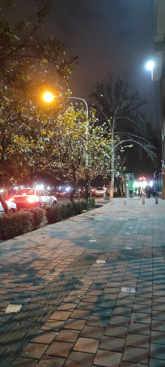 تهرانِ زخم‌خورده‌ی من
نعره‌هات کو؟