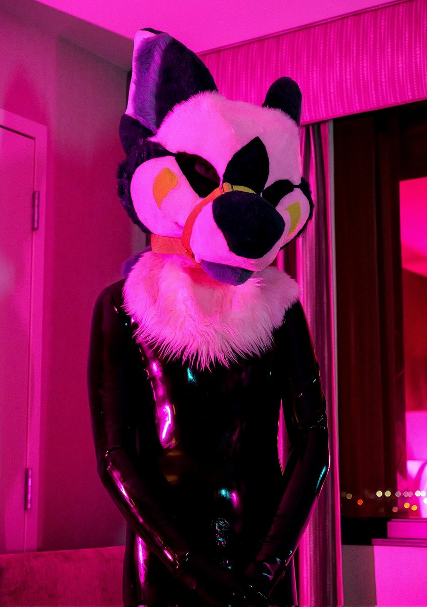 gay ass shark lmao tweet media