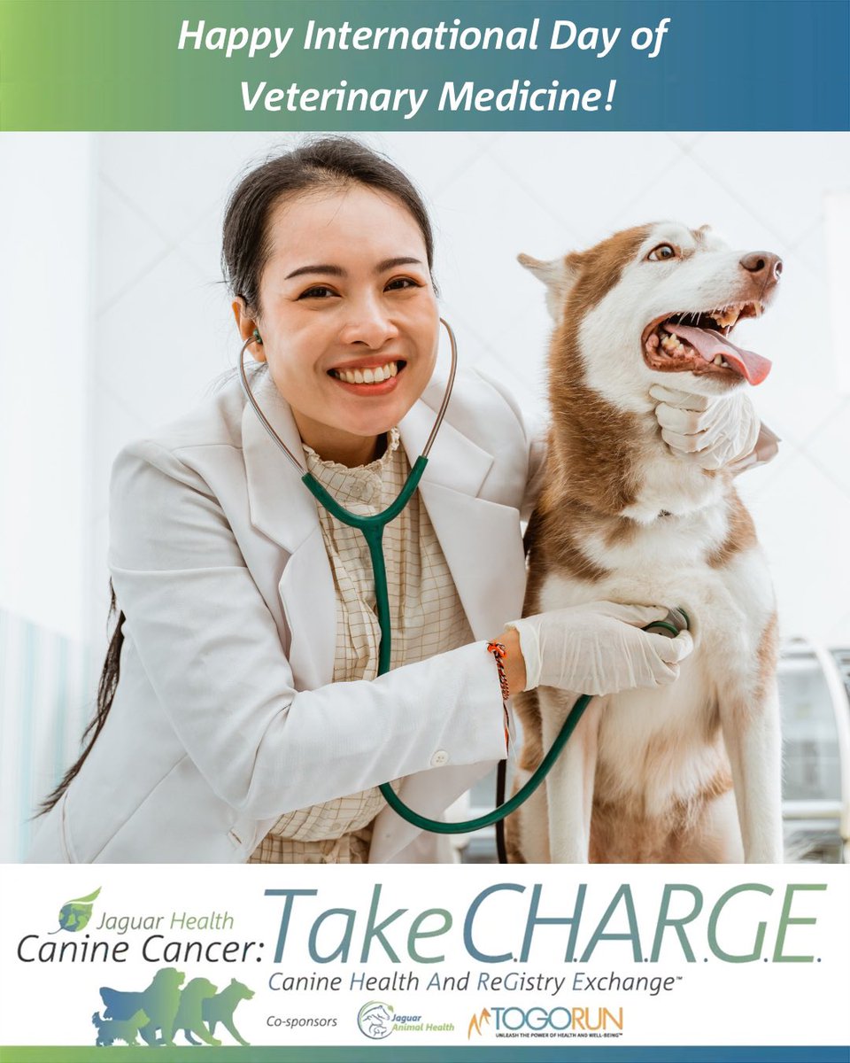 Take C.H.A.R.G.E. tweet media