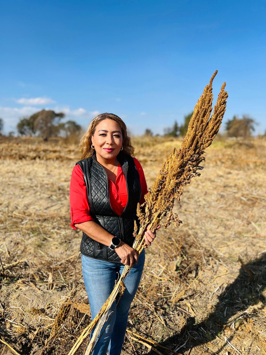 🌟#FelizMartes Que hoy tengan un día maravilloso, de esos que alegran el alma y colman el corazón de alegría, amor y un cálido regocijo ♥️
🙌🏼✨ Hoy, es día de sesión en la #CámaraDeDiputados 💚, pero antes quería tomarme un momento para saludarlos 👋🏼